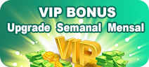 6291 VIP